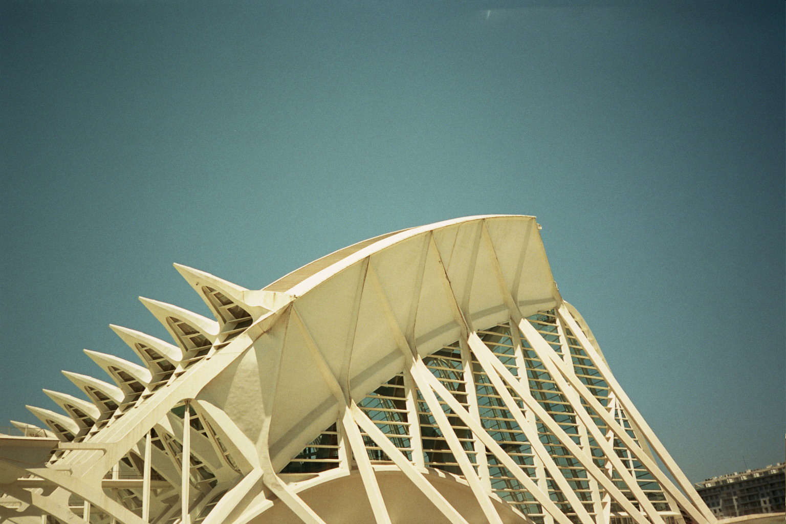 Valencia . Analogue photography . Kodak film . Olympus Mju 1