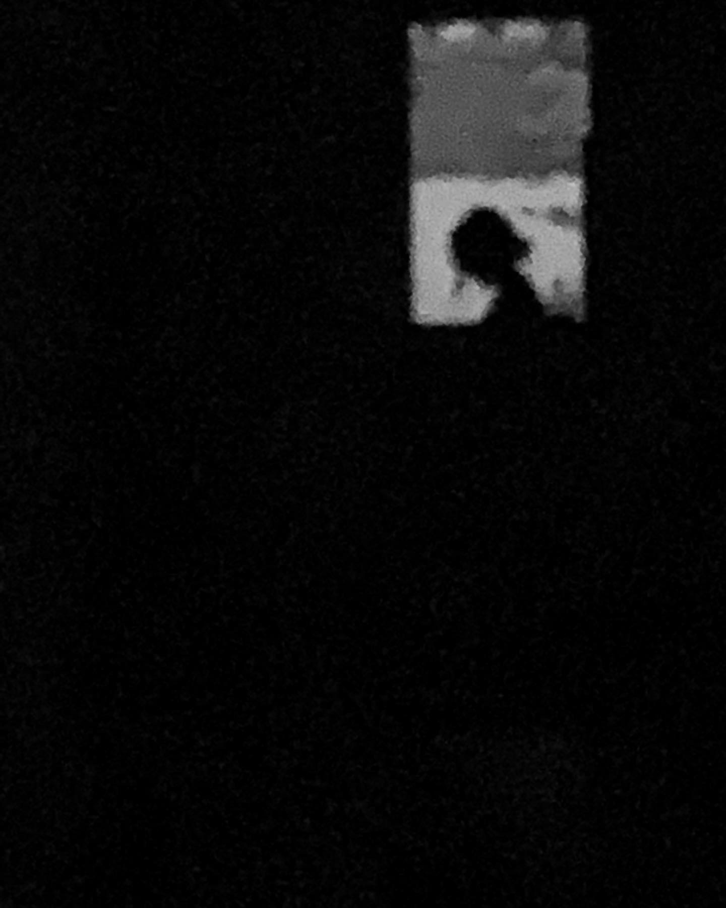 I . Digital photography . Iphone