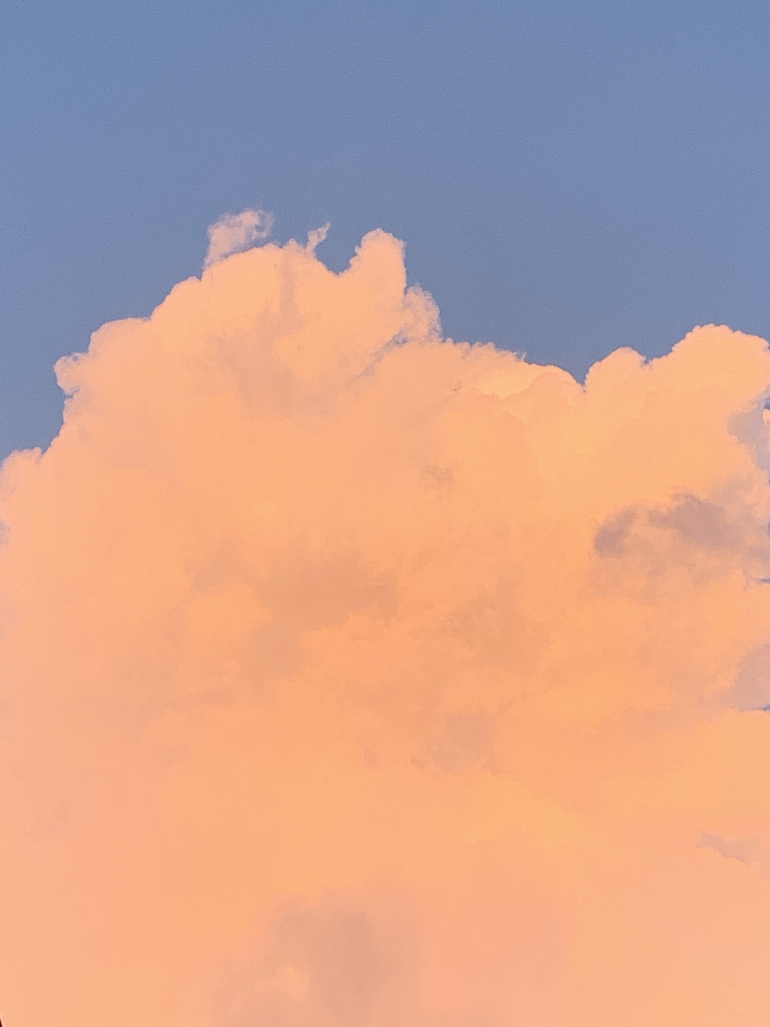 Sunset Orange . Digital photography . Iphone