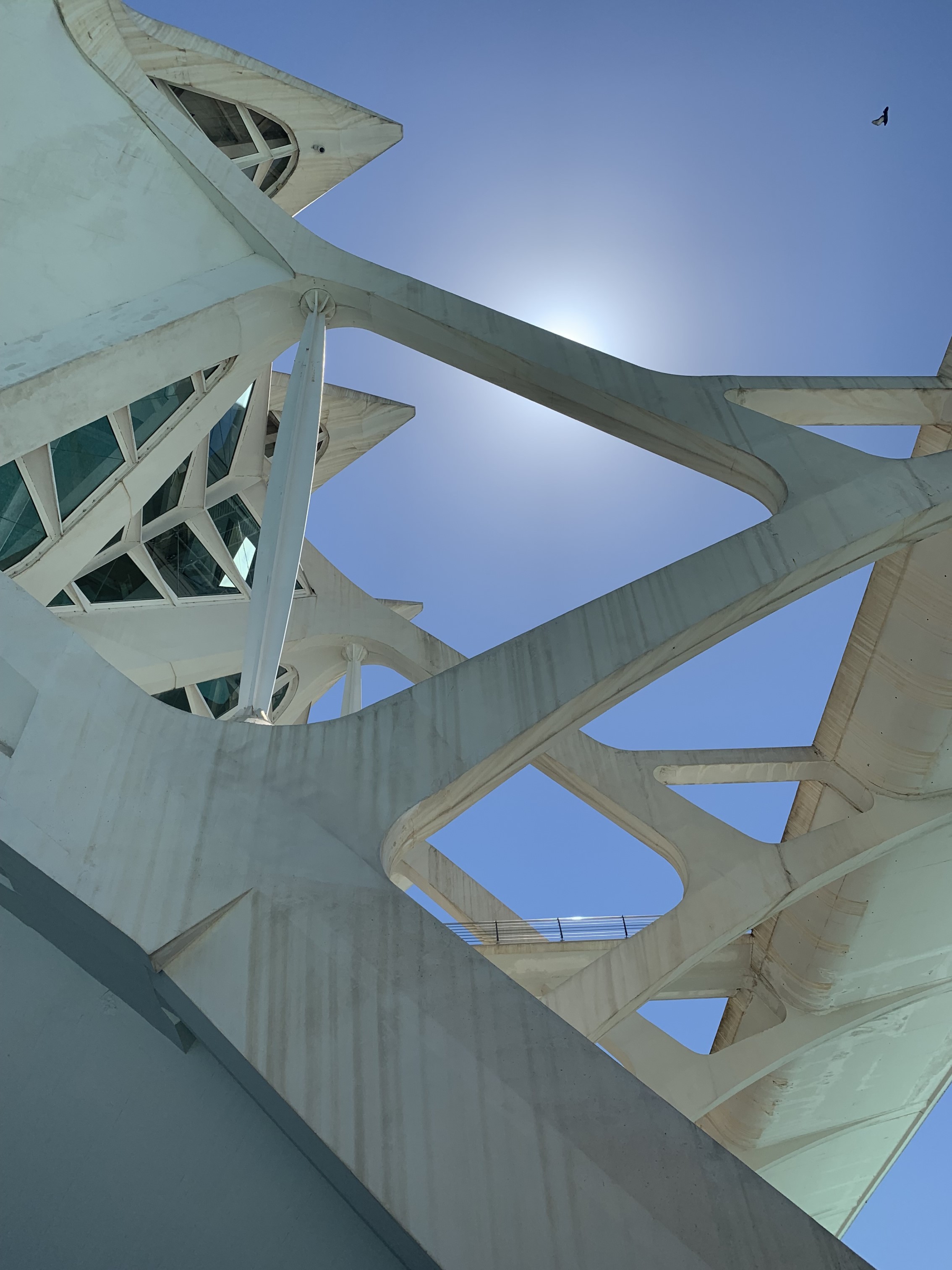 Valencia 2022 . Digital photography . Iphone